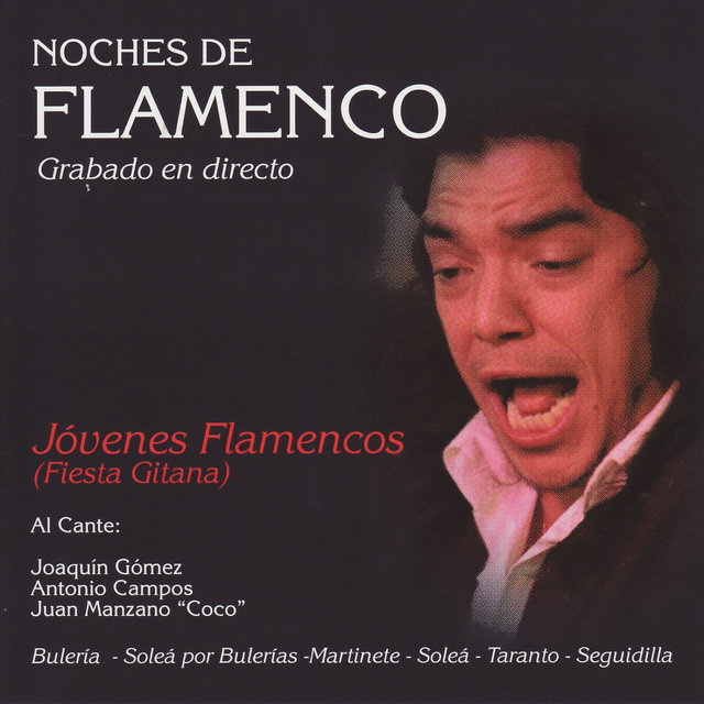 Noches de Flamenco - Jovenes Flamencos (Fiesta Gitana)