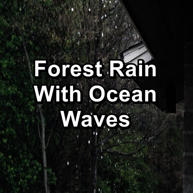 Forest Rain With Ocean Waves