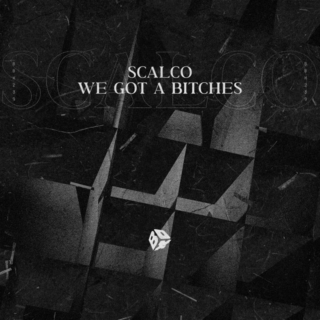 We Got a Bitches