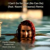 I Can't Go for That (No Can Do)