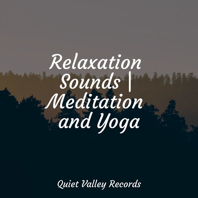 Relaxation Sounds | Meditation and Yoga
