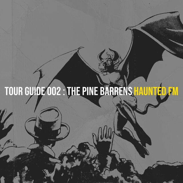 The Pine Barrens