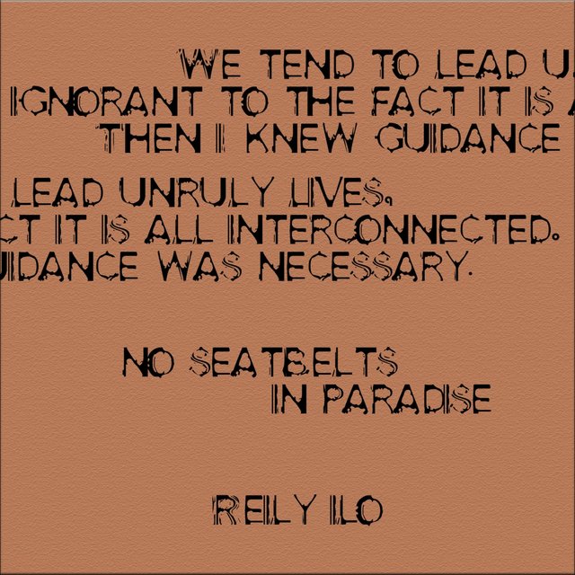 No Seatbelts In Paradise