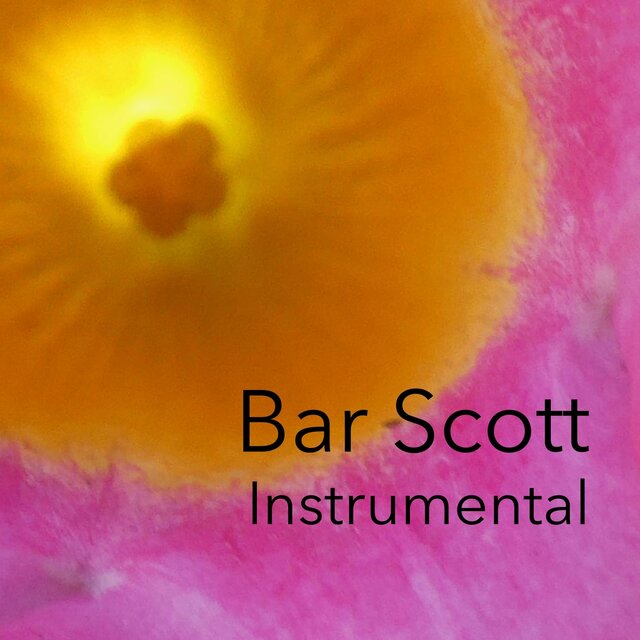 Instrumental