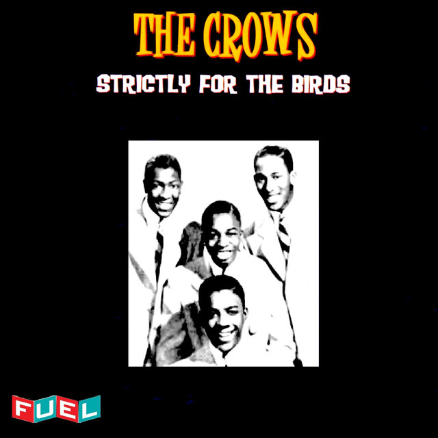 Strictly for the Birds