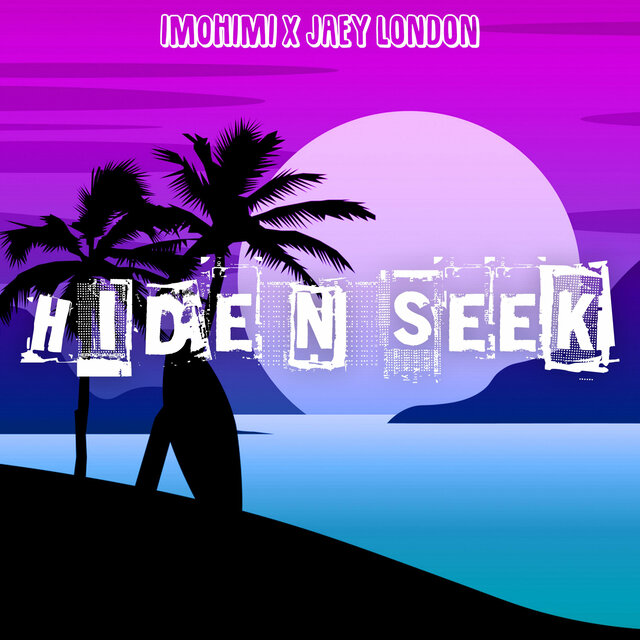 Hide N Seek