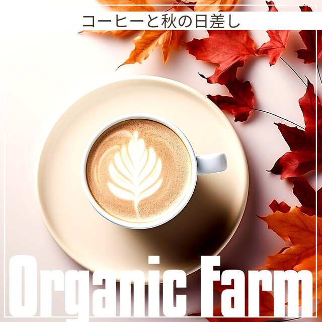 コーヒーと秋の日差し