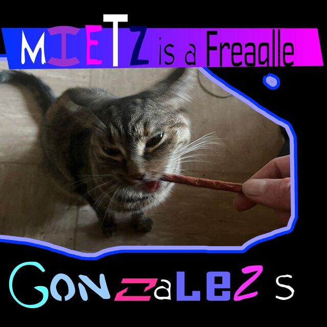 Mietz is Fregalle