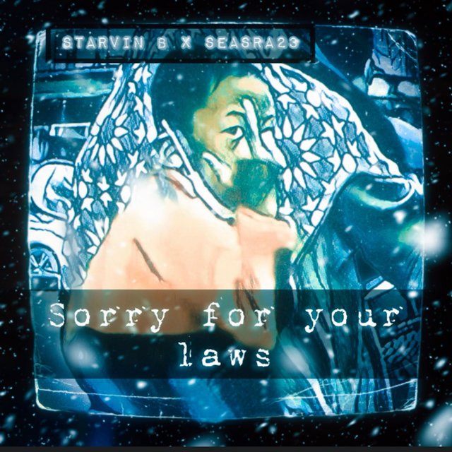 SORRY FOR YOUR LAWS