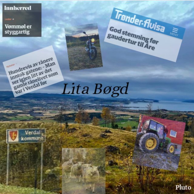 Lita Bøgd