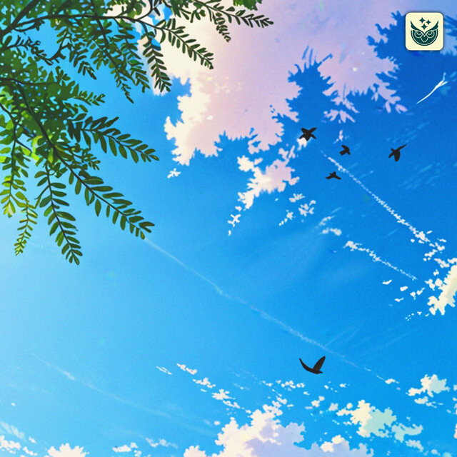 Birds Morning