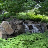 Rolling Stream