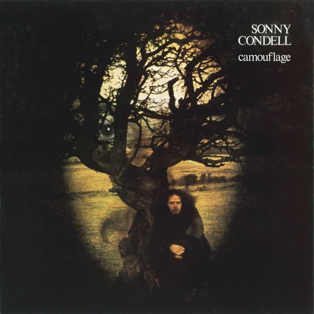 Cover art for album Camouflage by Sonny Condell