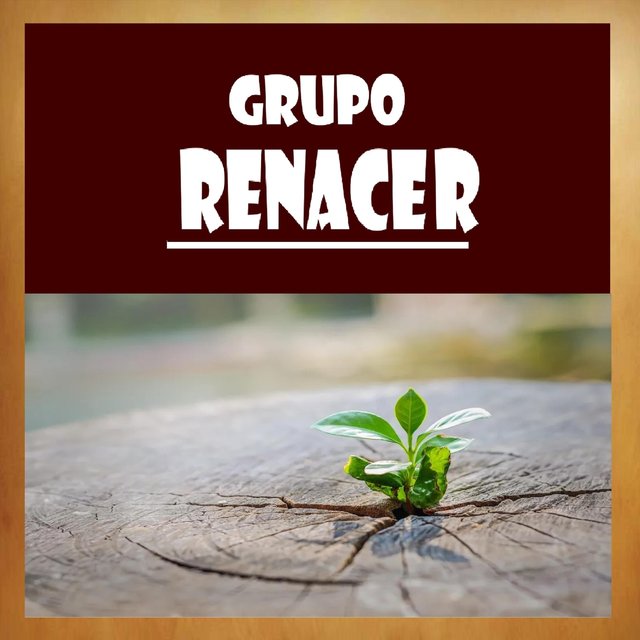 Grupo Renacer