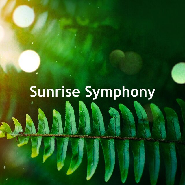Sunrise Symphony