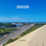 Sabiaguaba