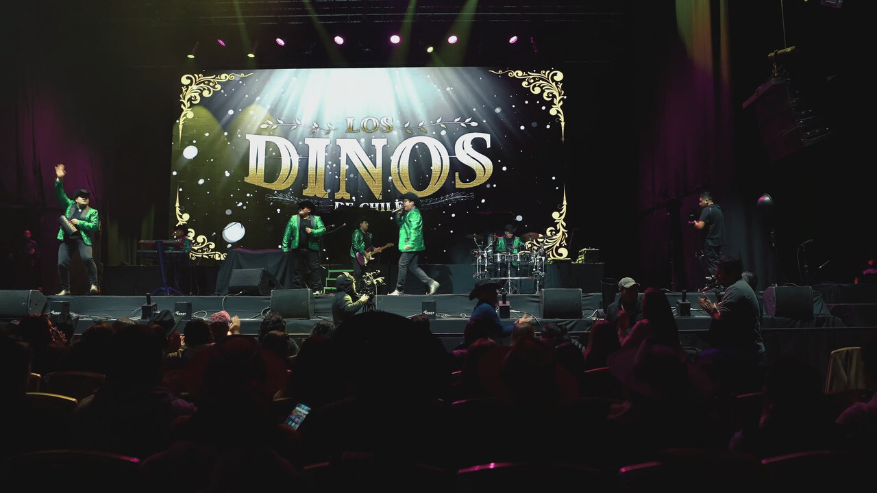 Al Ritmo del Tigre