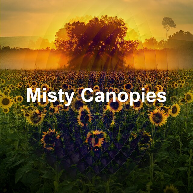 Misty Canopies