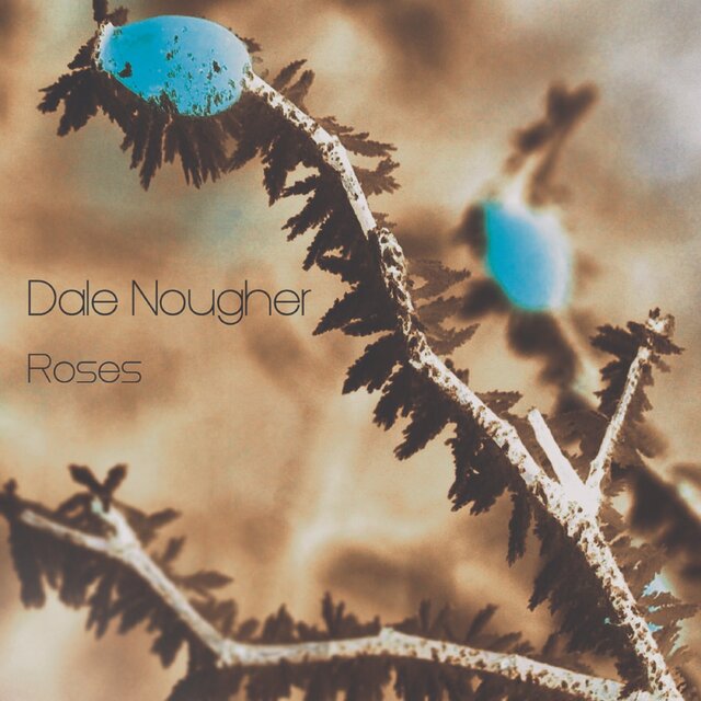 3 Roses