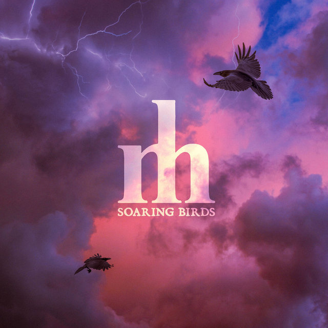Soaring Birds