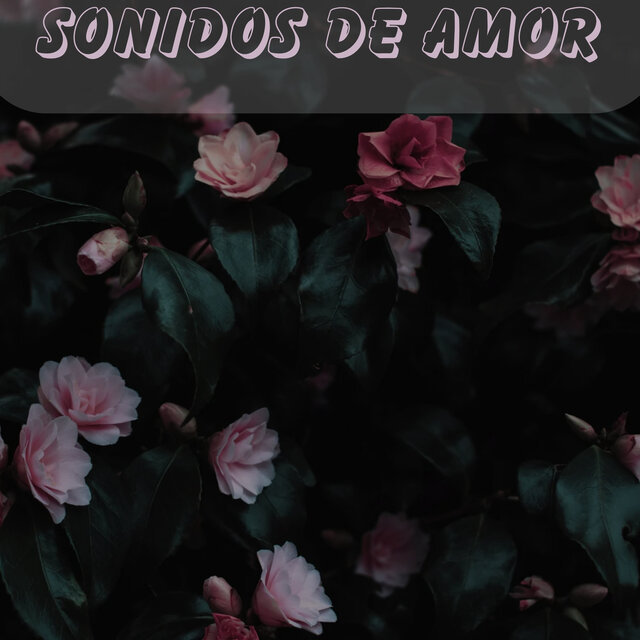Sonidos de Amor