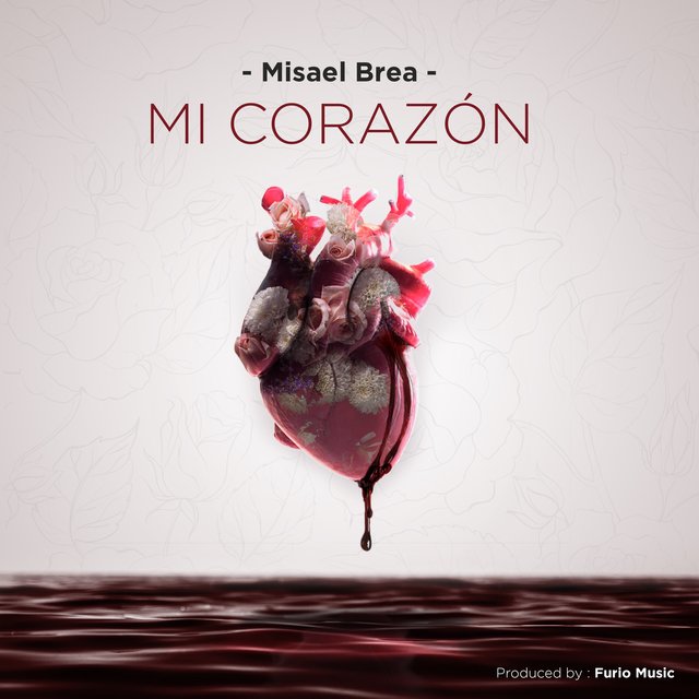 Mi Corazón