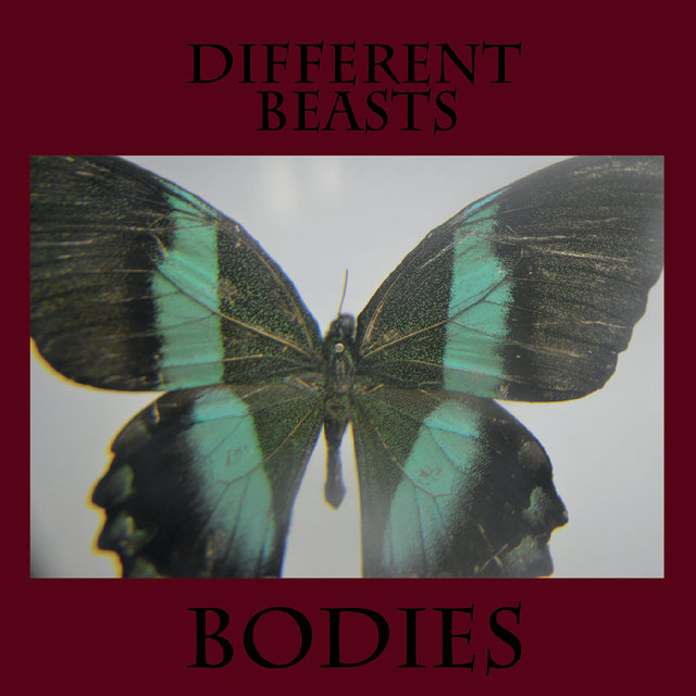 Different Beasts