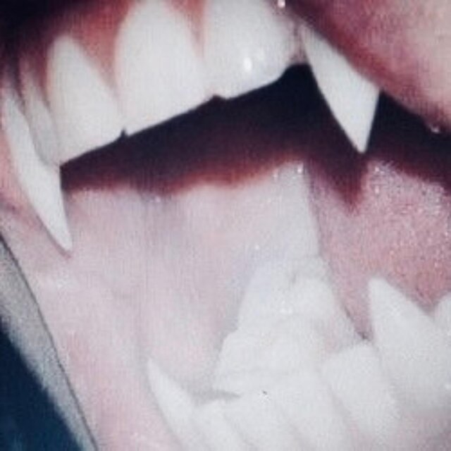 vampire shawties