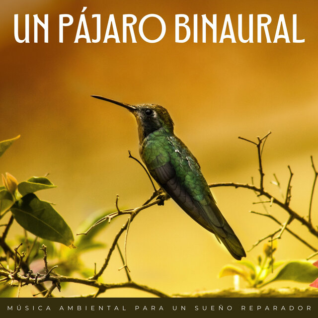 Un Pájaro Binaural: Música Ambiental Para Un Sueño Reparador