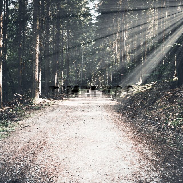 Timeless (instrumental)
