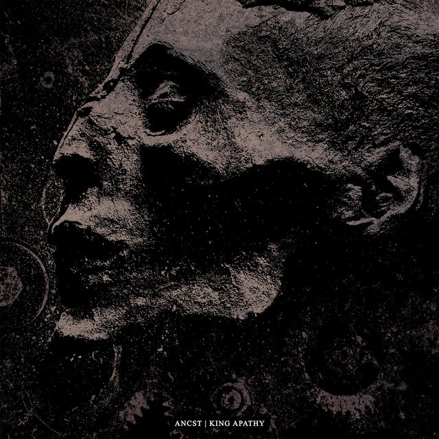 Cover art for album Split w/ King Apathy by Ancst