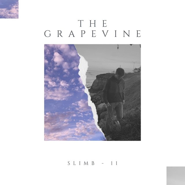 The Grapevine