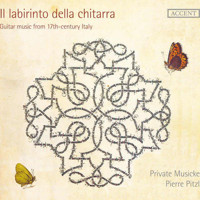 Il labirinto della chitarra