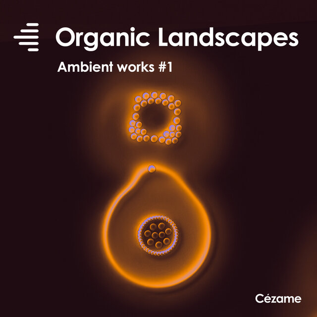 Organic Landscapes (Ambient works 1)