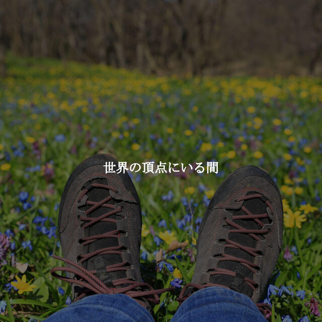 世界の頂点にいる間
