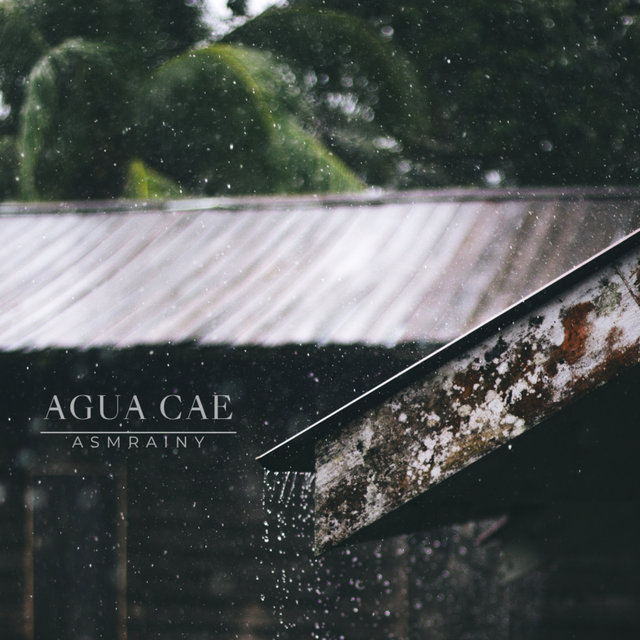 Agua Cae