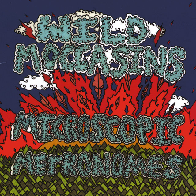 Cover art for album Microscopic Metronomes by Wild Moccasins
