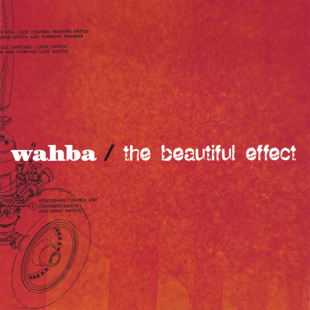 the beautiful effect