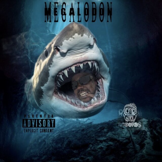 Megalodon