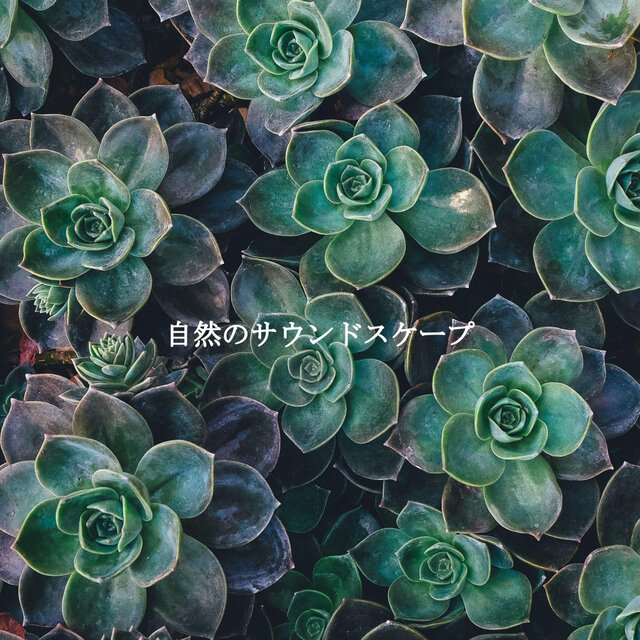 自然のサウンドスケープ