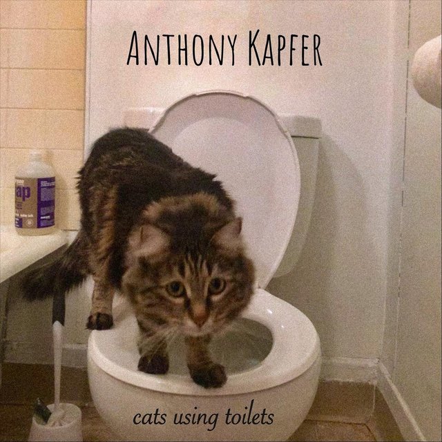 Cats Using Toilets