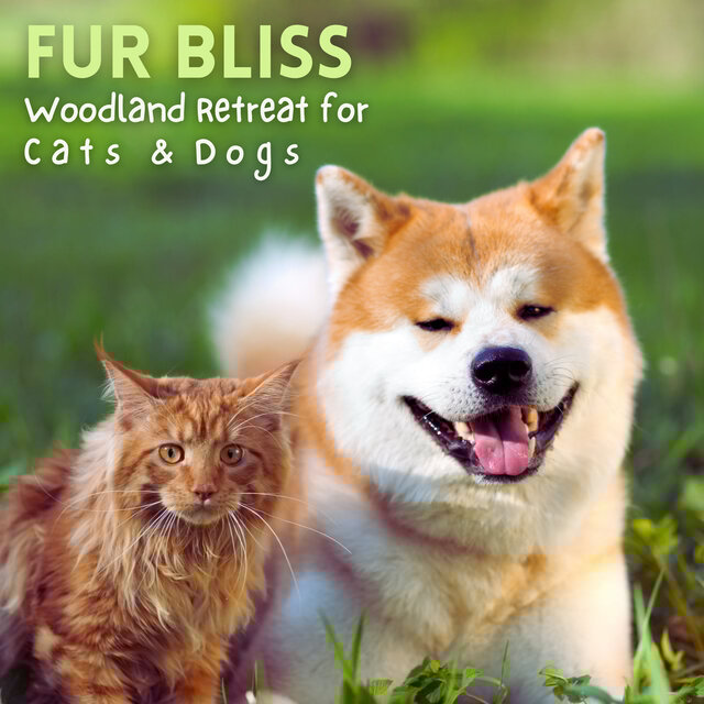 Fur Bliss: Woodland Retreat for Cats and Dogs
