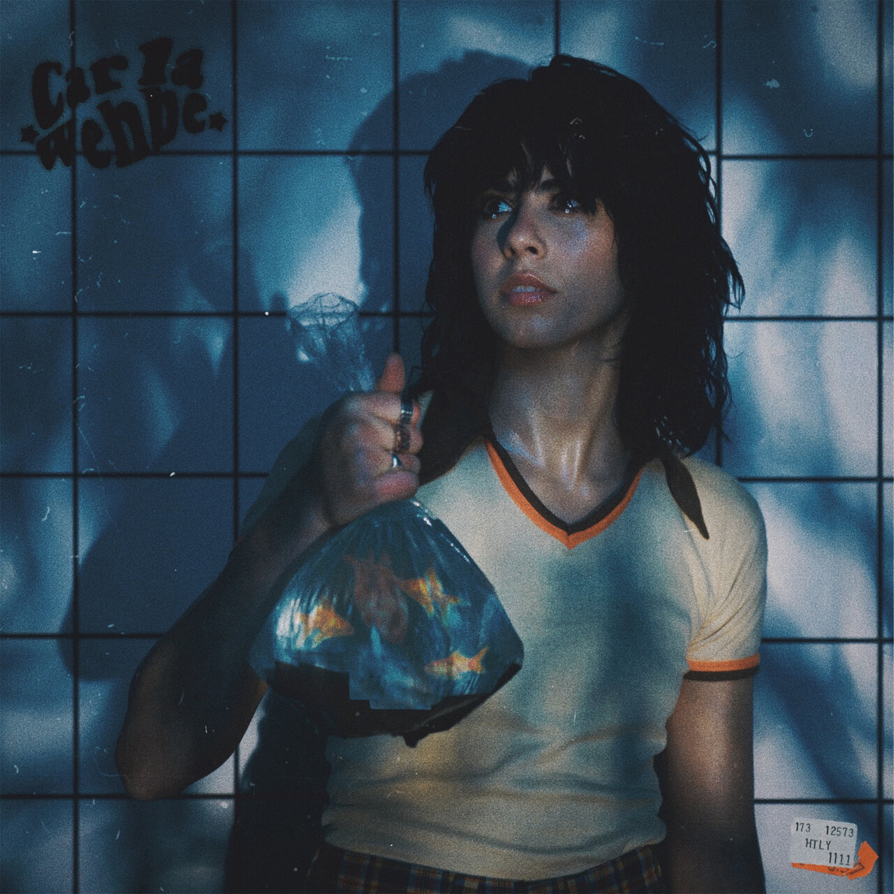 Carla Wehbe — hurts to love you cover artwork