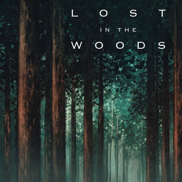 Lost in the Woods