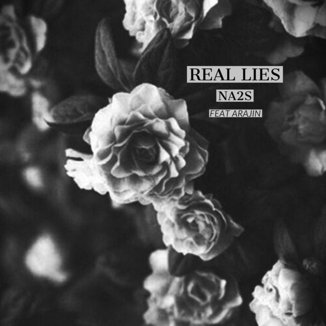 Real Lies (feat. Arajin)