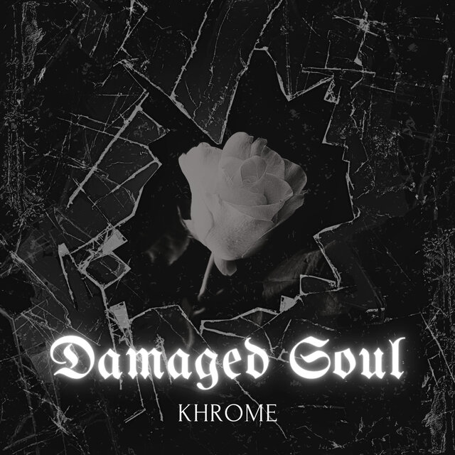 Damaged Soul