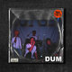 Cover art for album Dum by Bolaget