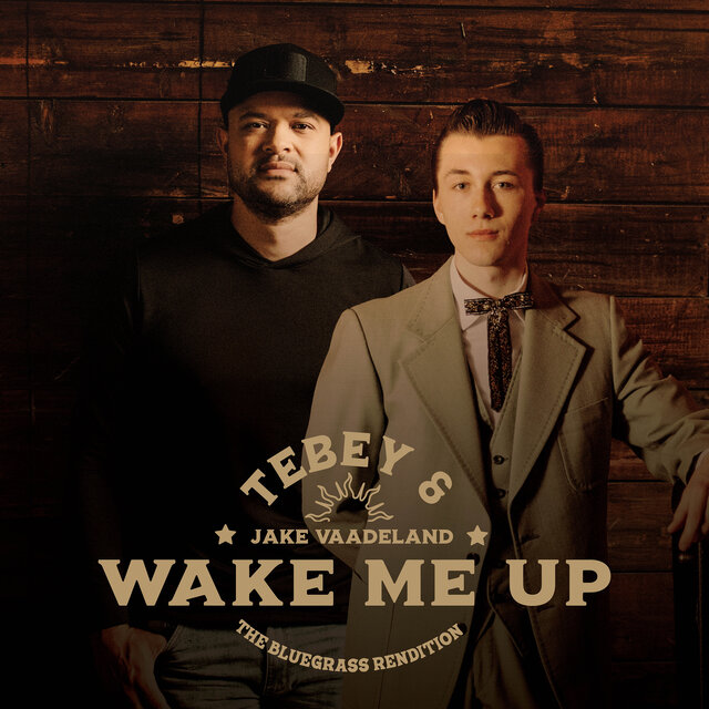 Wake Me Up (The Bluegrass Rendition)