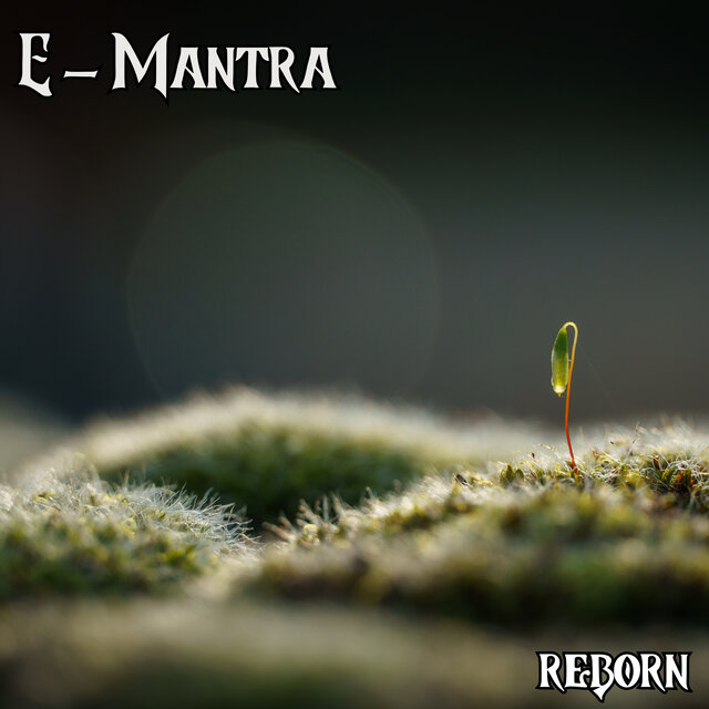 Reborn