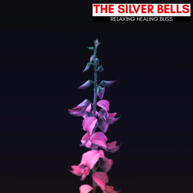 The Silver Bells - Relaxing Healing Bliss